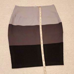 Women's Colorblock Skirt